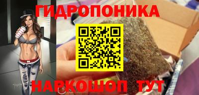гашик Нальчик