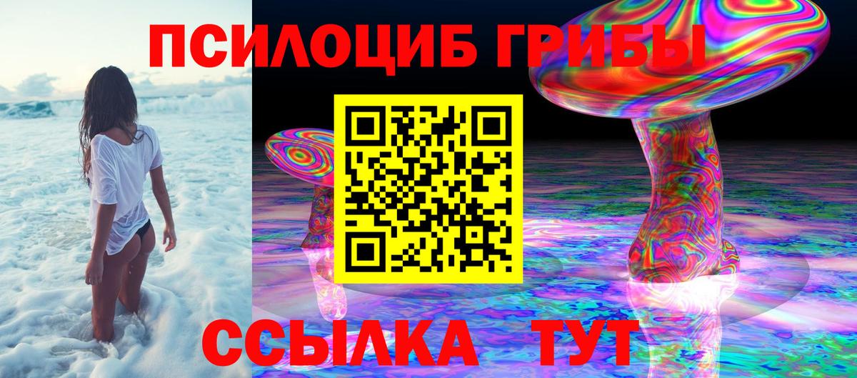 Псилоцибиновые грибы Psilocybe Сланцы
